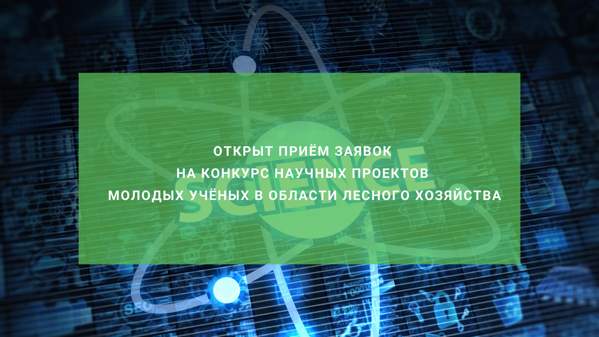 Открыт приём заявок на конкурс научных проектов молодых учёных в области лесного хозяйства