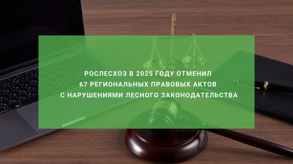 Рослесхоз в 2025 году отменил 67 региональных правовых актов с нарушениями лесного законодательства