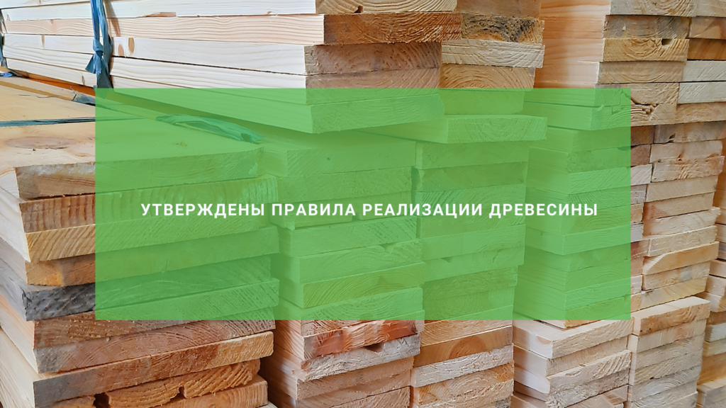 Утверждены правила реализации древесины