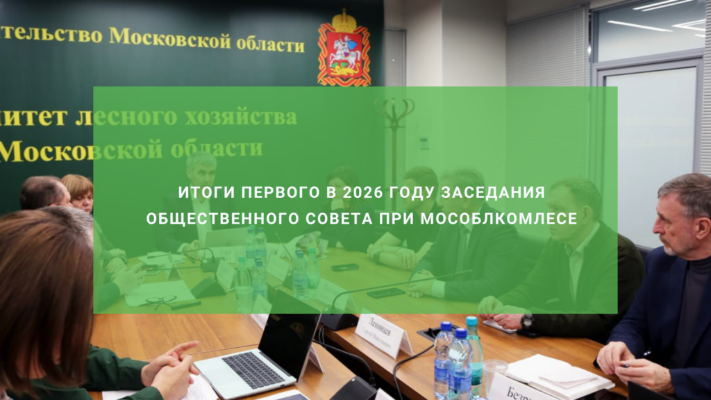 Итоги первого в 2026 году заседания Общественного совета при Мособлкомлесе