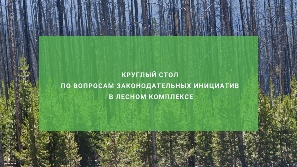 Круглый стол по вопросам законодательных инициатив в лесном комплексе
