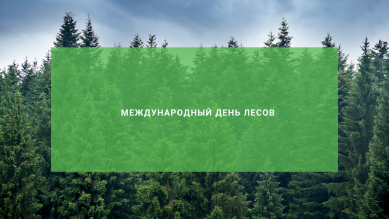 Международный день лесов