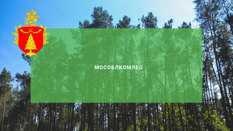 Мособлкомлес