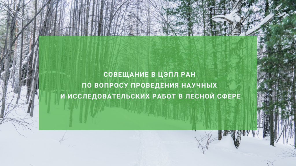 Прошло совещание о вопросу проведения научных и исследовательских работ в лесной сфере