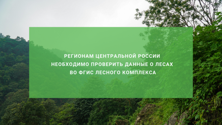 Регионам Центральной России необходимо проверить данные о лесах во ФГИС Лесного комплекса