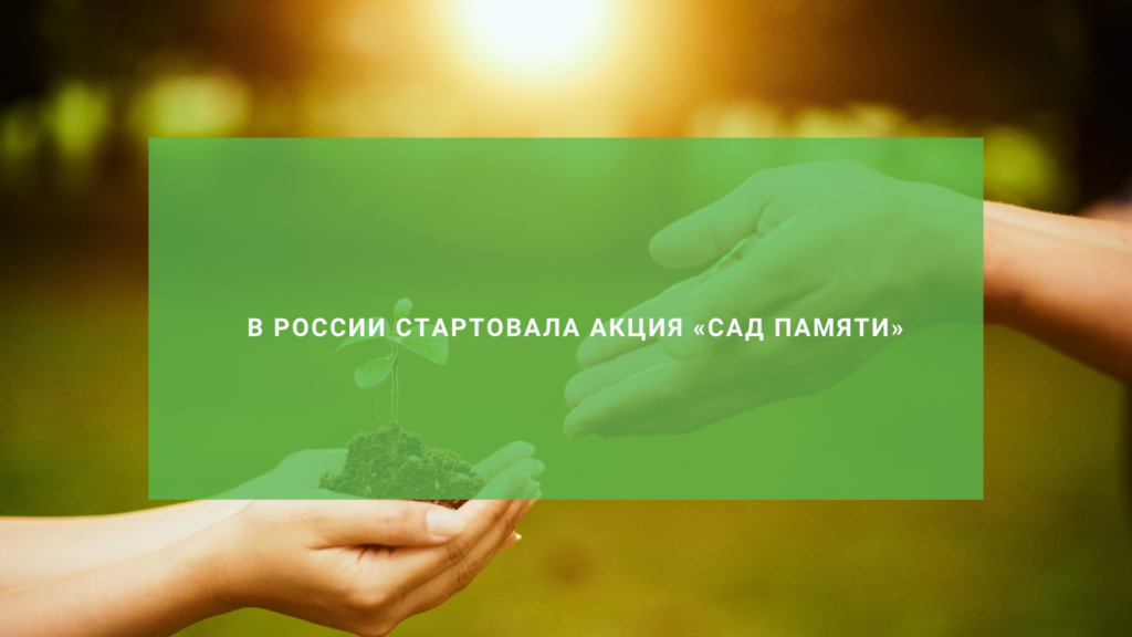 В России стартовала Международная эколого-патриотическая акция Сад Памяти