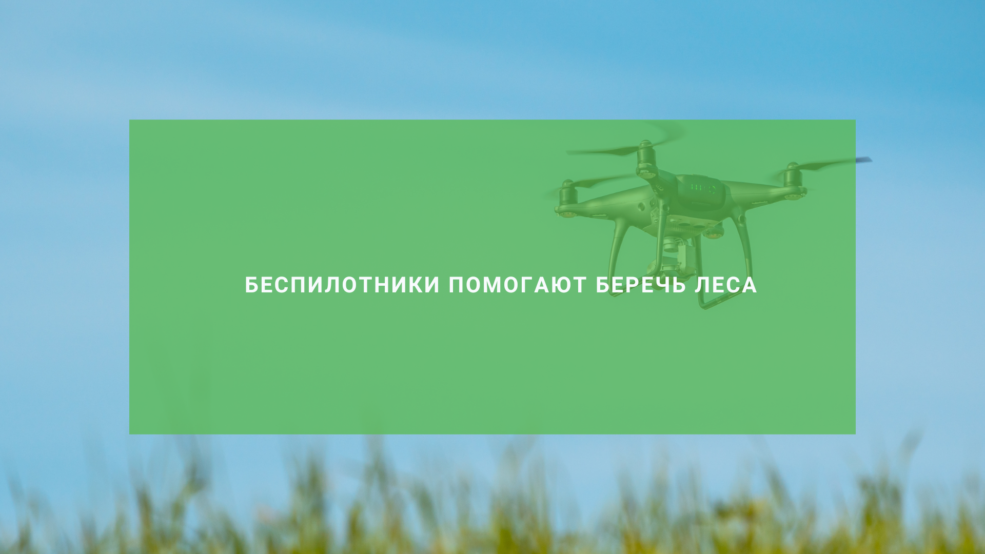 беспилотники помогают беречь леса