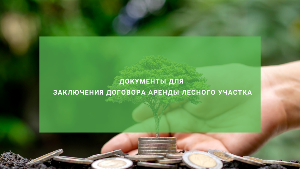 Что нужно для договора аренды лесного участка