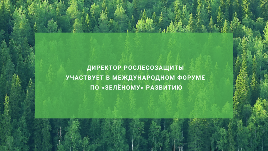 Директор Рослесозащиты участвует в международном форуме по зелёному развитию