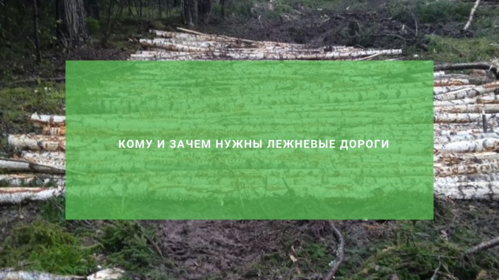 Кому и зачем нужны лежневые дороги