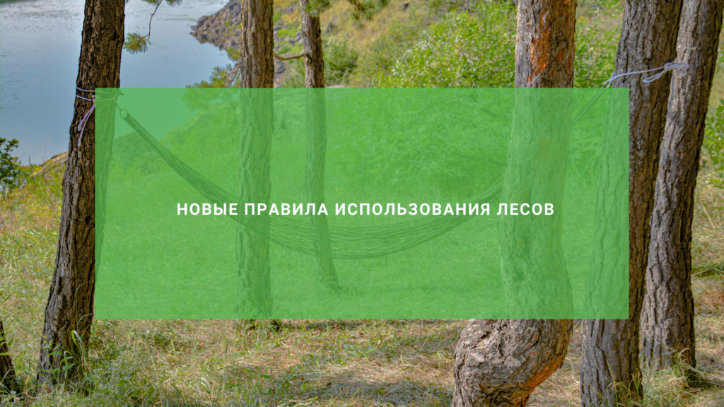 Новые правила использования лесов