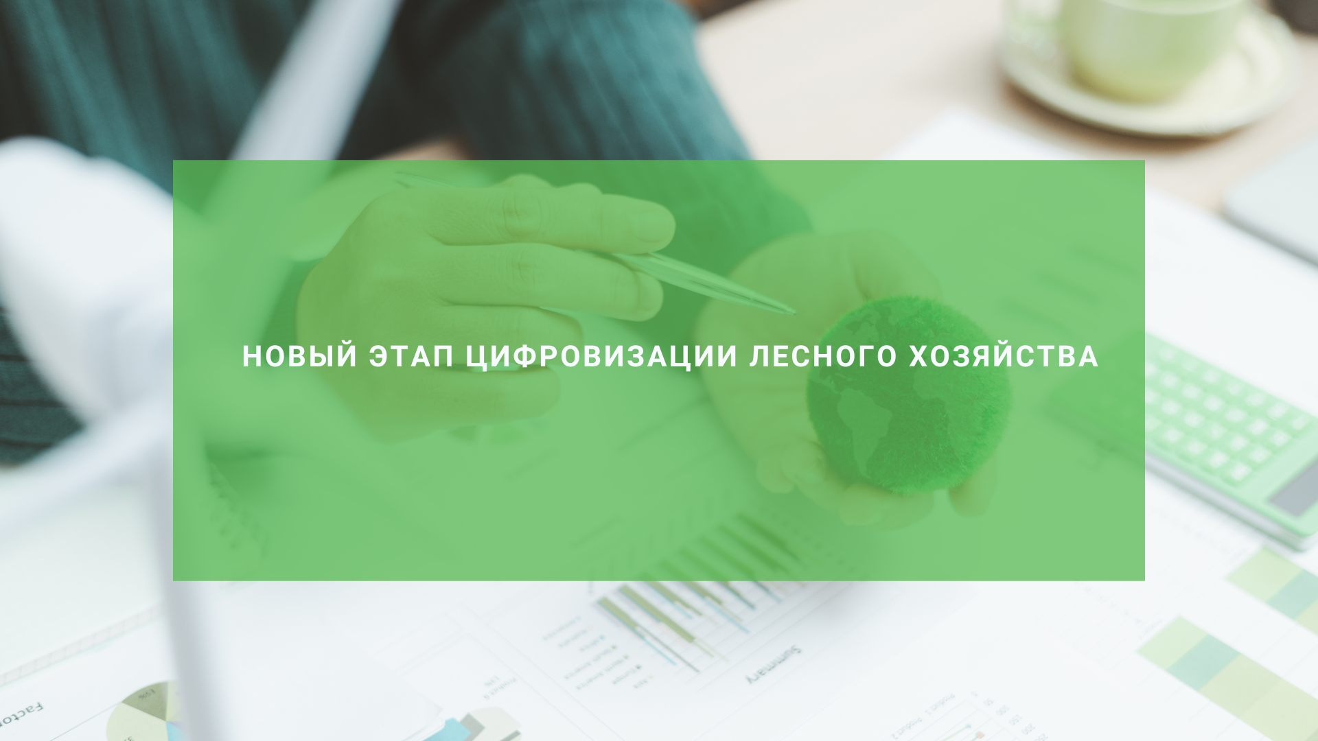 Новый этап цифровизации лесного хозяйства