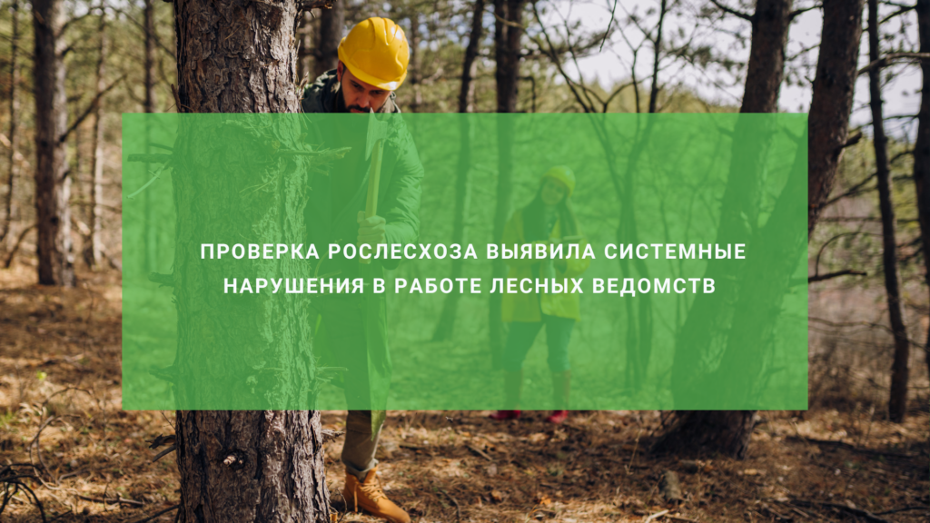 Проверка Рослесхоза выявила системные нарушения в работе лесных ведомств двух регионов