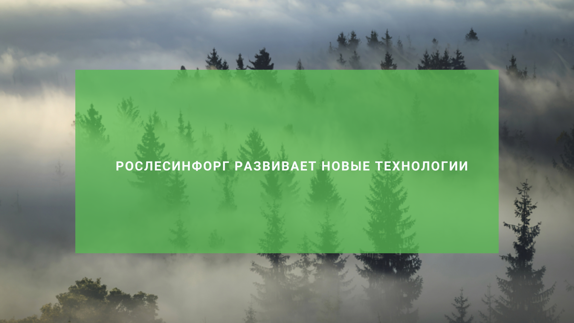 Рослесинфорг развивает новые технологии