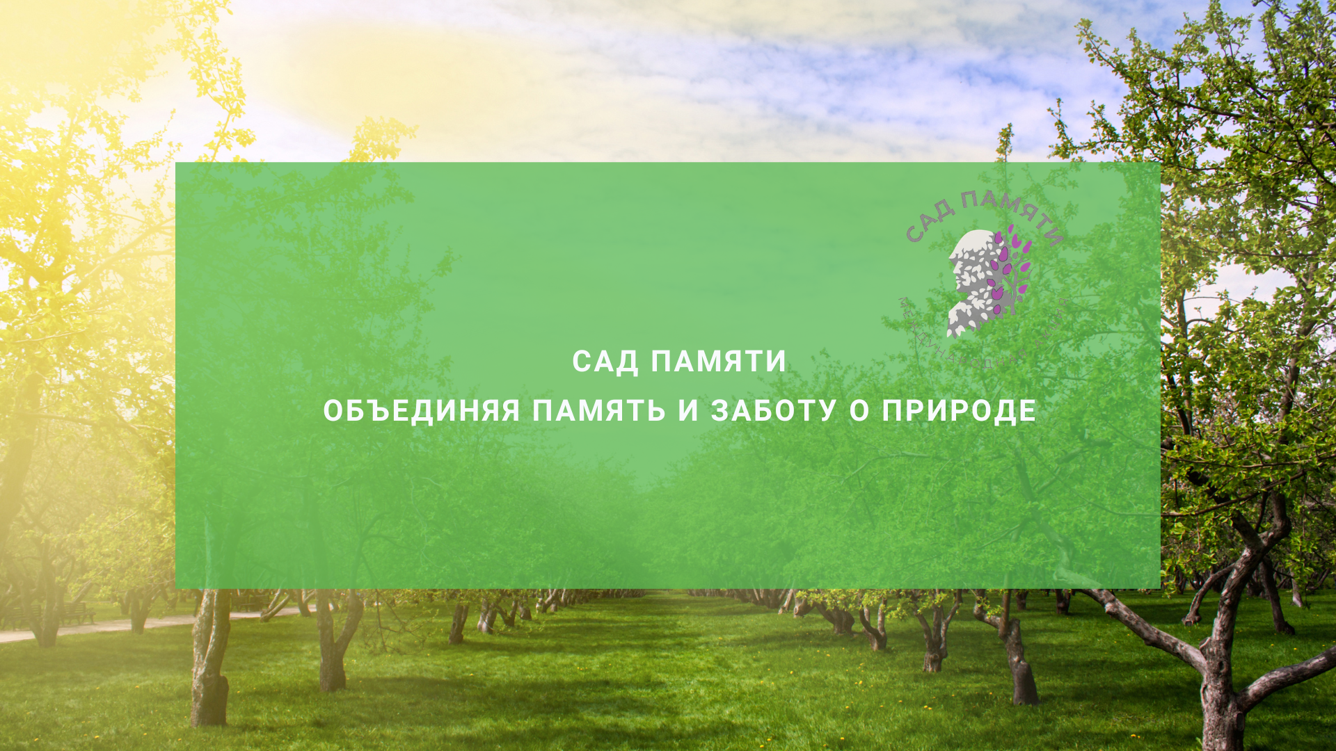 Сад памяти: акция, объединяющая память и заботу о природе