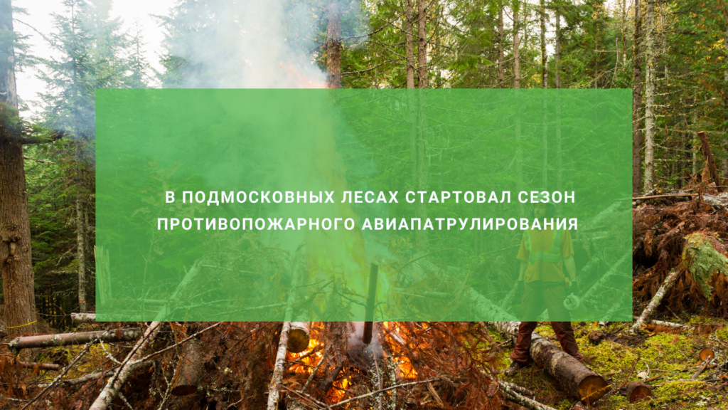 В Подмосковье стартовал сезон противопожарного авиапатрулирования лесов