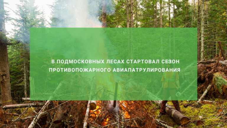 В Подмосковье стартовал сезон противопожарного авиапатрулирования лесов