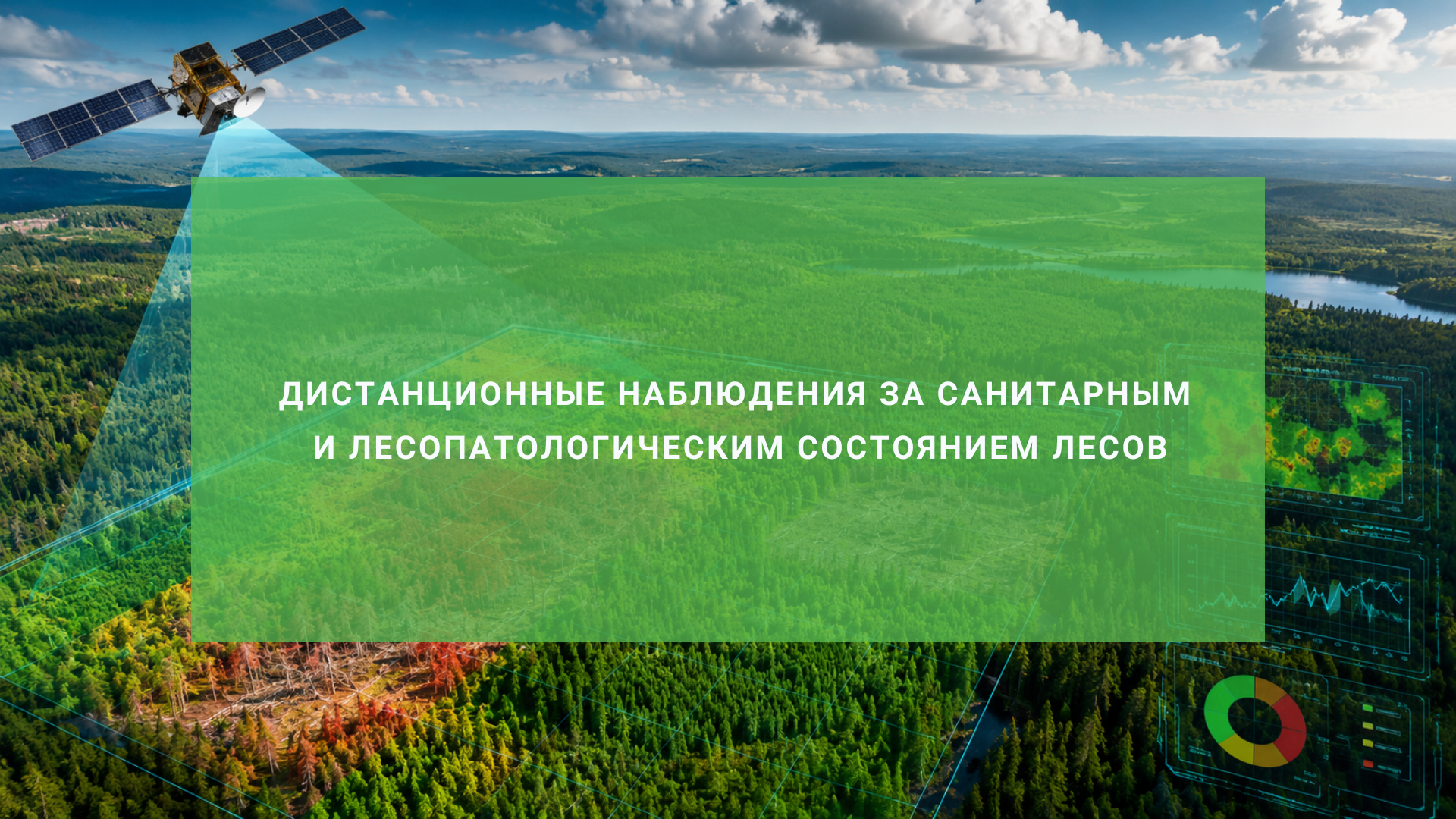 Дистанционные наблюдения за санитарным и лесопатологическим состоянием лесов