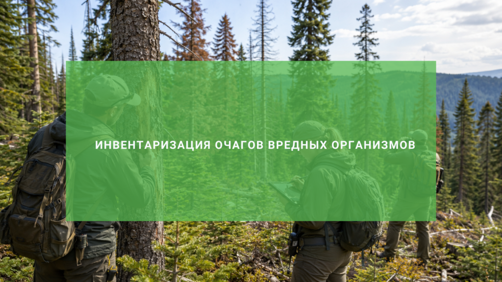 Инвентаризация очагов вредных организмов
