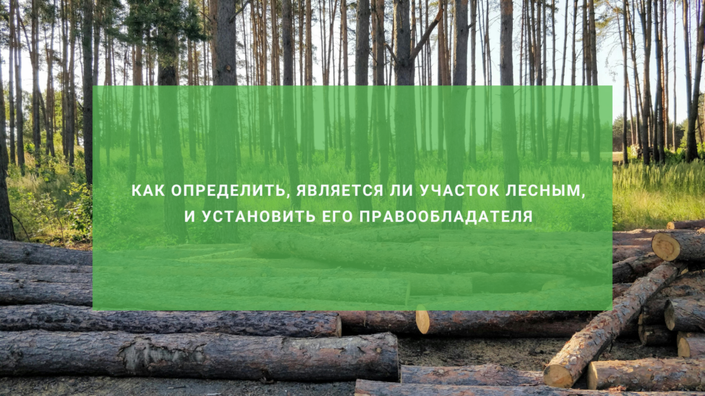 Как определить, является ли участок лесным, и установить его правообладателя
