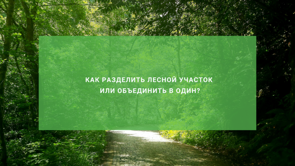 Как разделить лесной участок или объединить в один?