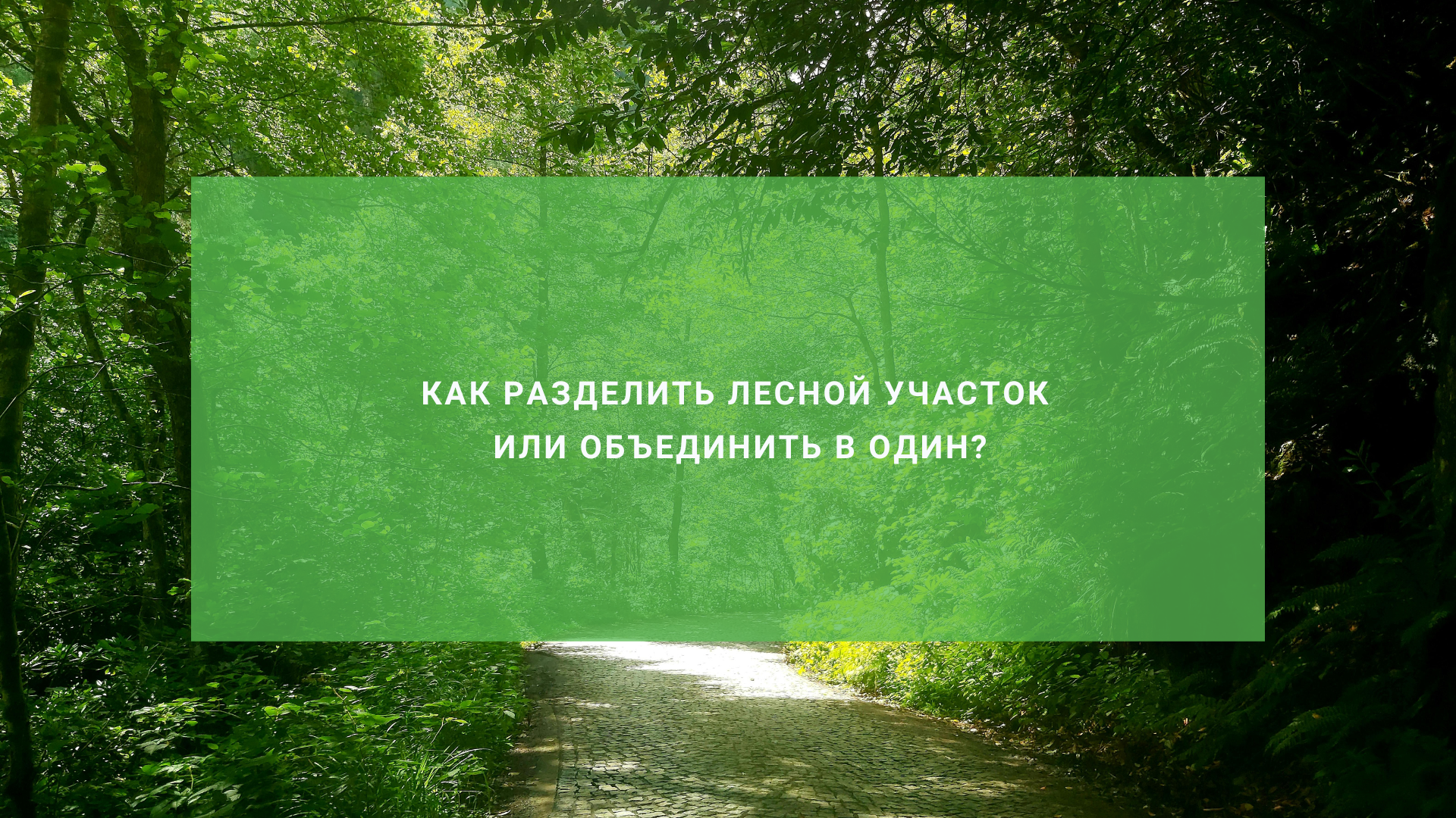 Как разделить лесной участок или объединить в один?