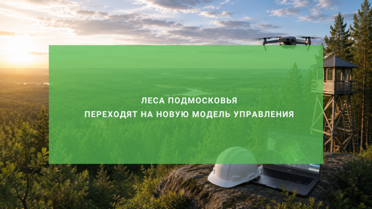 Леса Подмосковья переходят на новую модель управления