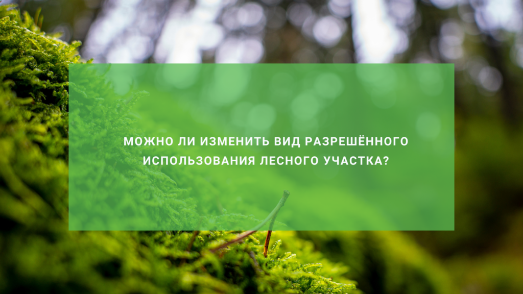 Можно ли изменить вид разрешенного использования лесного участка?