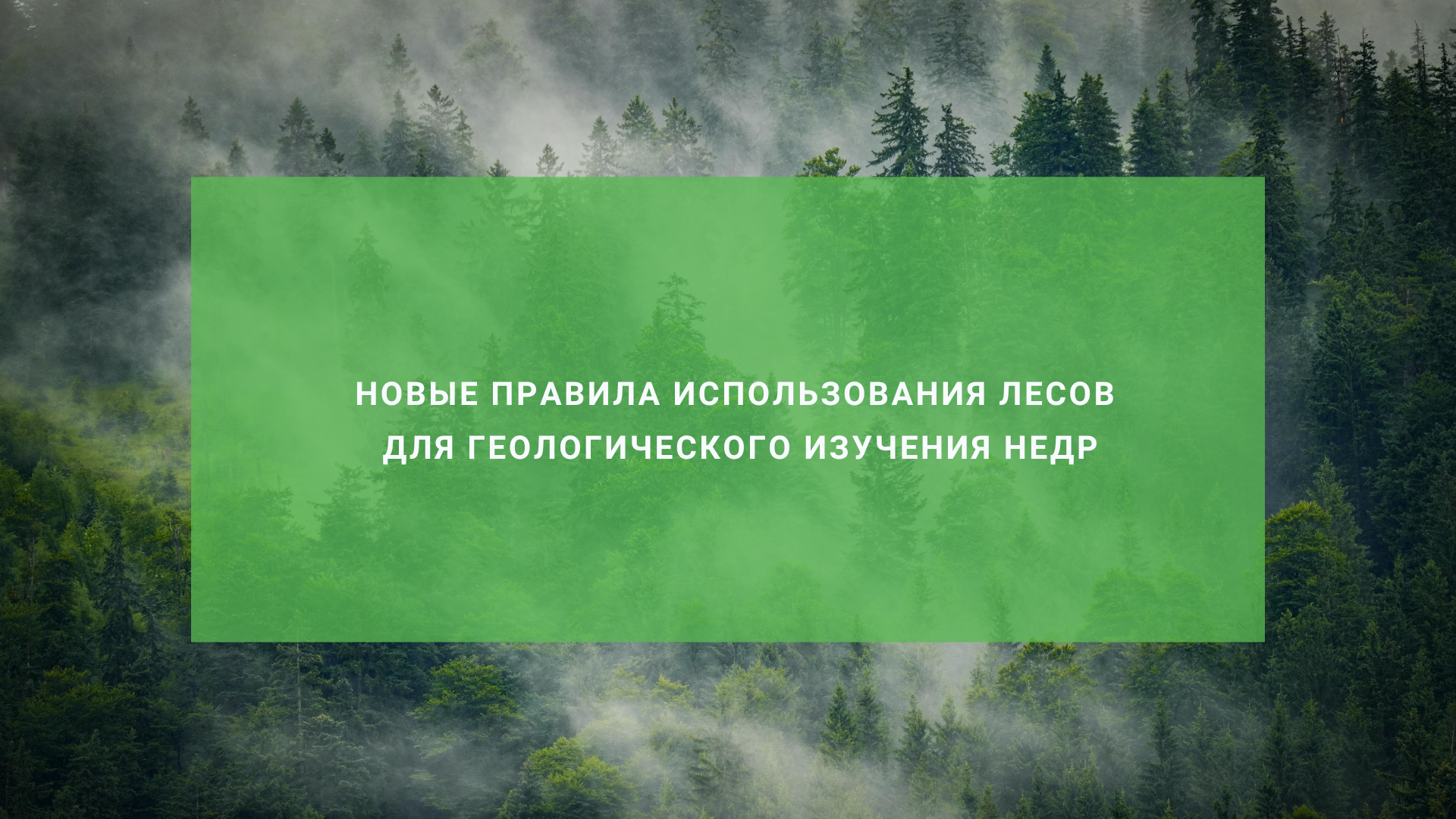 Обновлены правила использования лесов для геологического изучения недр