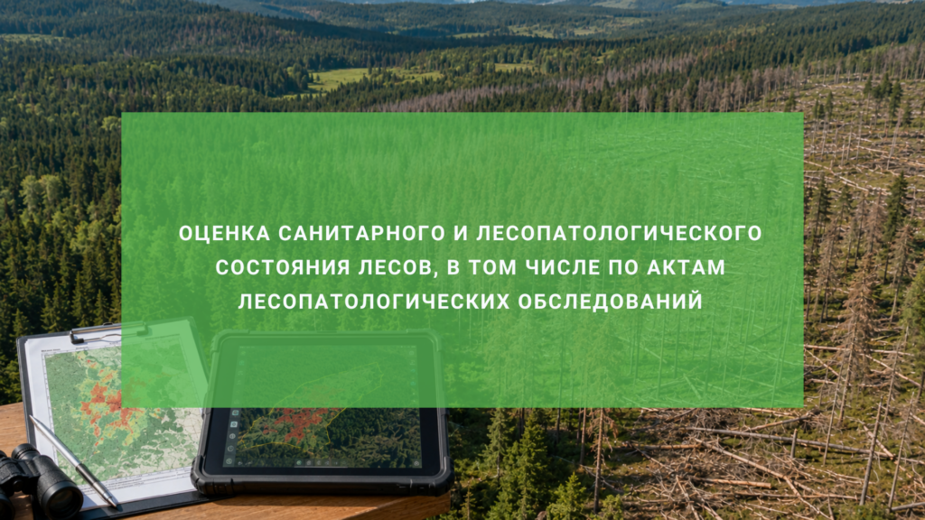 Оценка санитарного и лесопатологического состояния лесов, в том числе по актам лесопатологических обследований