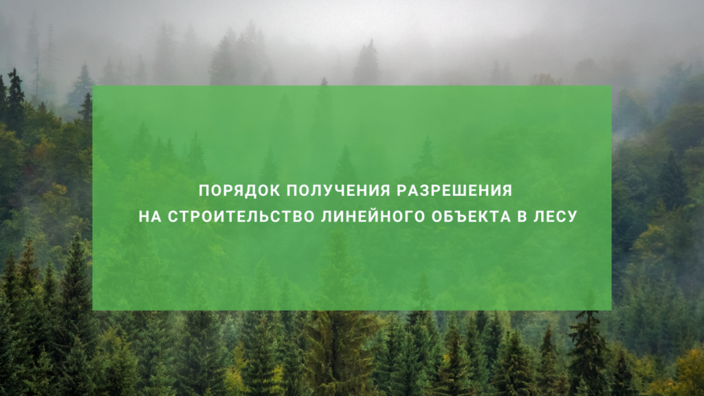 Порядок получения разрешения на строительство линейного объекта в лесу