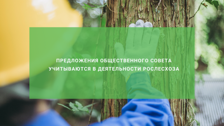Предложения Общественного совета учитываются в деятельности Рослесхоза