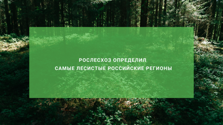 Рослесхоз определил самые лесистые российские регионы
