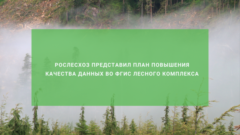 Рослесхоз представил план повышения качества данных во ФГИС лесного комплекса