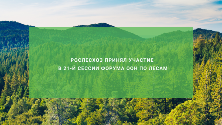 Рослесхоз принял участие в 21-й сессии Форума ООН по лесам