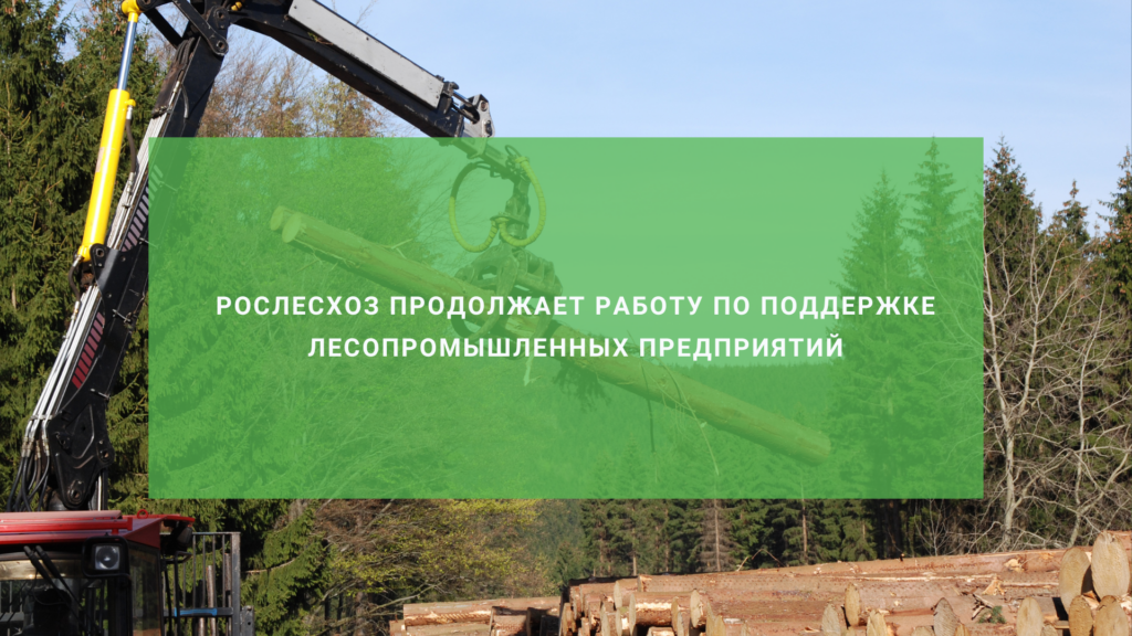 Рослесхоз продолжает работу по поддержке лесопромышленных предприятий