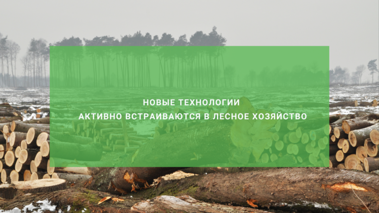 В Рослесхозе обсудили применение беспилотников в лесном хозяйстве