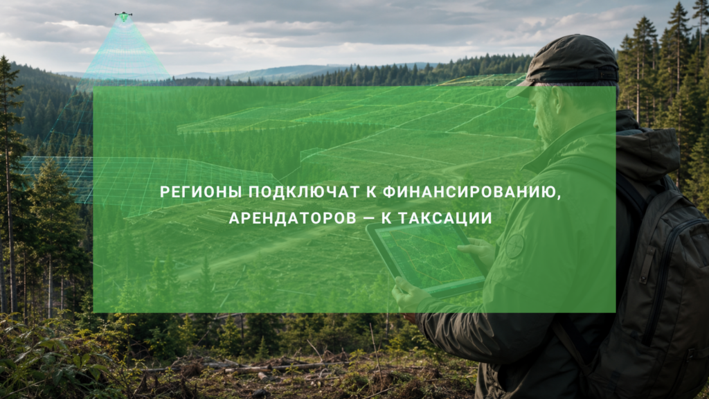 Лесоустройство по новым правилам: регионы подключат к финансированию, арендаторов — к таксации