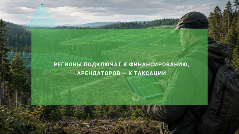 Лесоустройство по новым правилам: регионы подключат к финансированию, арендаторов — к таксации