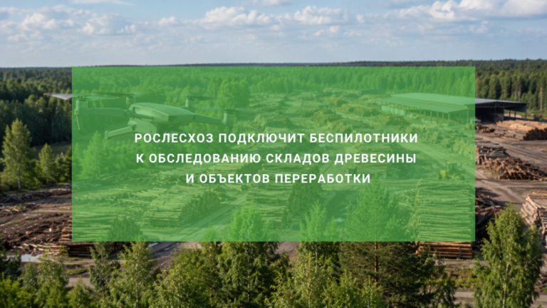 Рослесхоз подключит беспилотники к обследованию складов древесины и объектов переработки