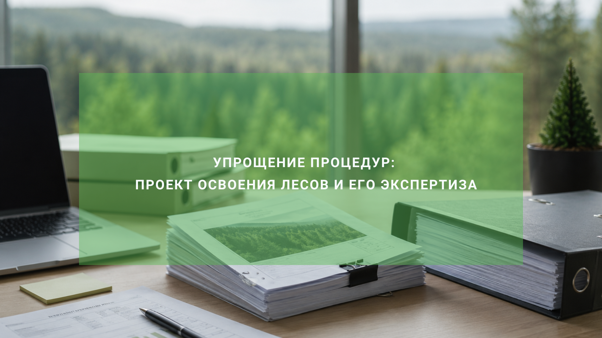 Упрощение процедур: проект освоения лесов и его экспертиза