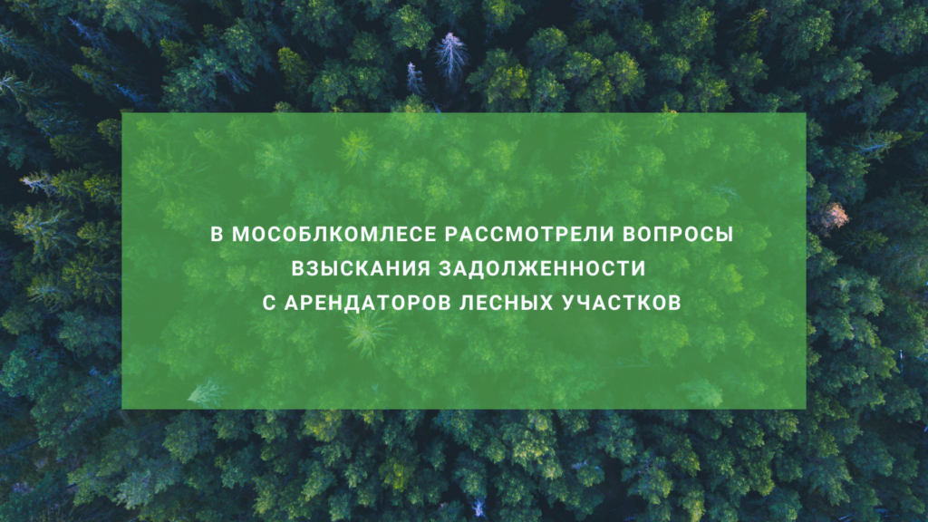 В Мособлкомлесе рассмотрели вопросы взыскания задолженности с арендаторов лесных участков