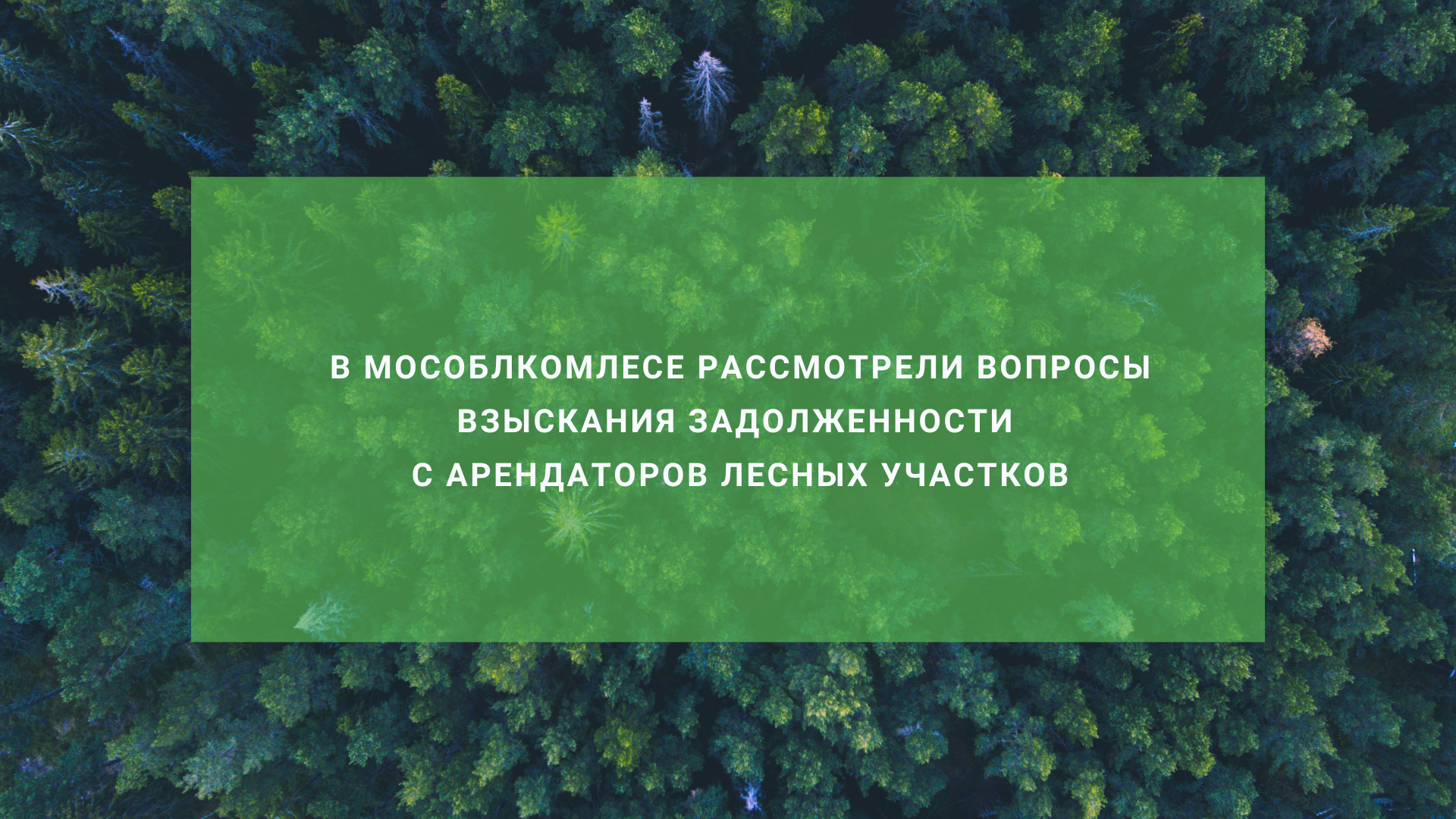 В Мособлкомлесе рассмотрели вопросы взыскания задолженности с арендаторов лесных участков