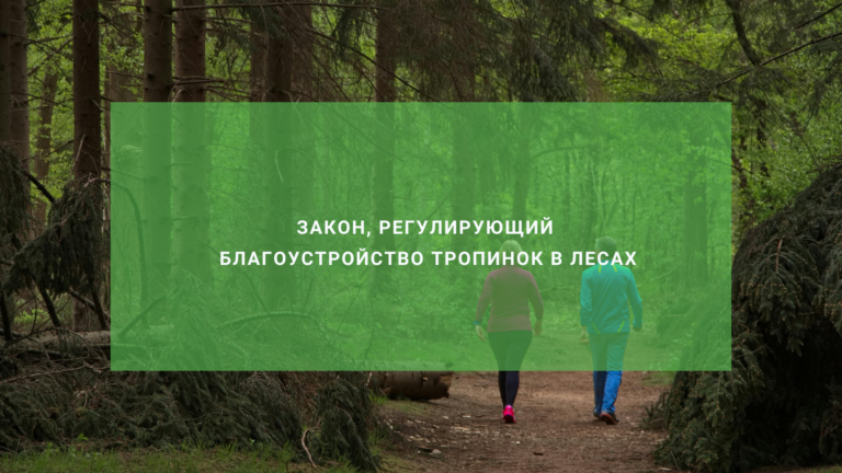 Закон, регулирующий вопросы благоустройства тропинок в лесах