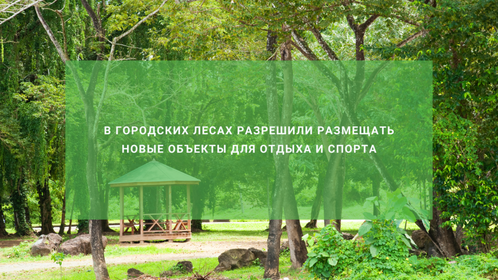 В городских лесах разрешили размещать новые объекты для отдыха и спорта