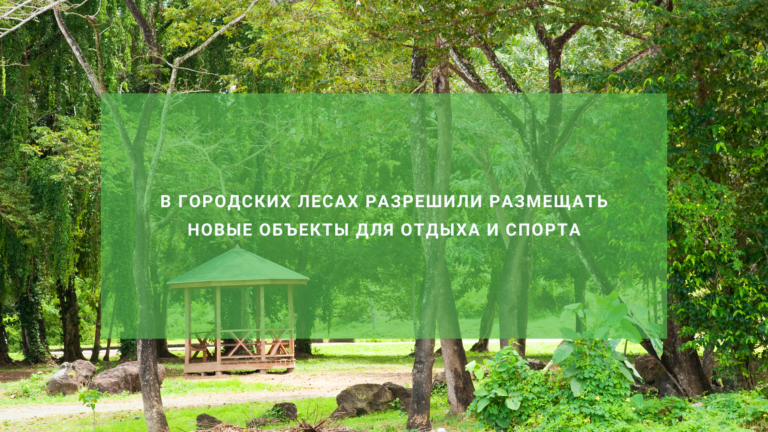 В городских лесах разрешили размещать новые объекты для отдыха и спорта