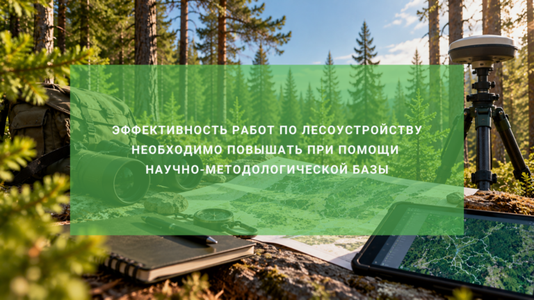 Эффективность работ по лесоустройству необходимо повышать при помощи научно-методологической базы