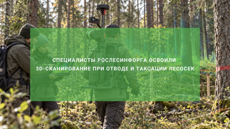 Специалисты Рослесинфорга освоили 3D-сканирование при отводе и таксации лесосек